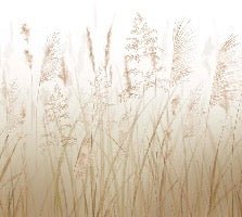 Tapete Blume der Weizenfelder