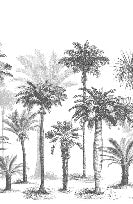 Tapete Jungle Black & White