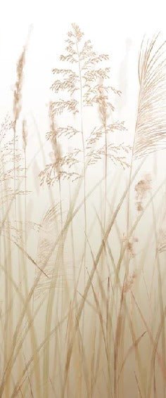 Tapete Blume der Weizenfelder