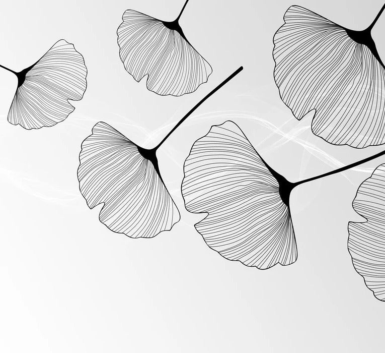 Panorama-Tapete Trend ginkgo schwarz