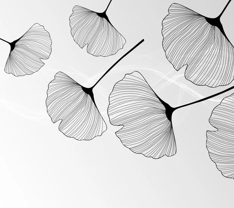 Panorama-Tapete Trend ginkgo schwarz