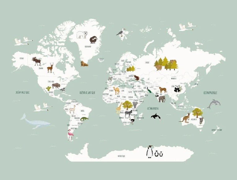 Papier peint Carte du monde en Francais enfant vert, XXL, tendance