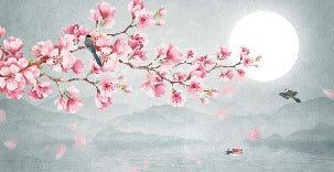 Fototapete Blumentrend Kirschblüte poetisch