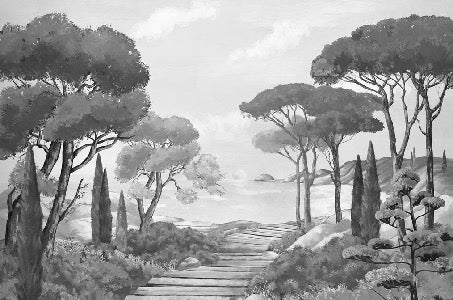 Papier peint balade dans les calanques noir et blanc, XXL, tendance