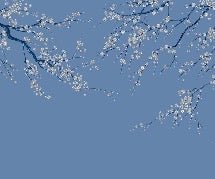 Panorama-Tapete Sakura-Blume bläulich