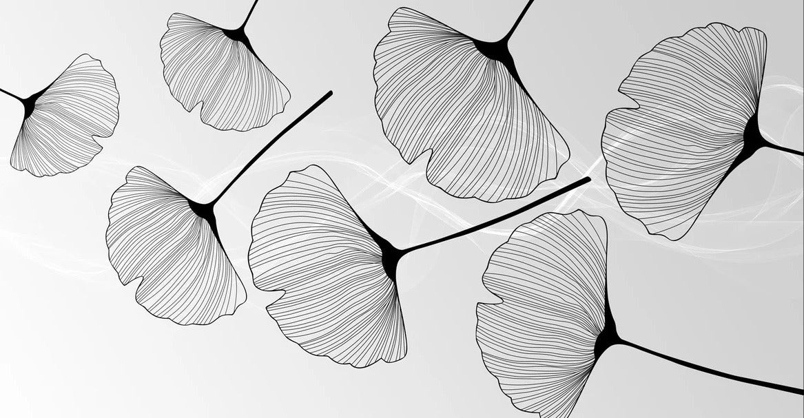 Papier peint panoramique tendance ginkgo noir, XXL, tendance