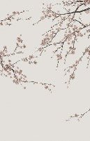 Papier peint panoramique Sakura beige