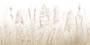 Tapete Blume der Weizenfelder