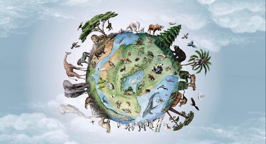 Kindertapete Planet Tiere