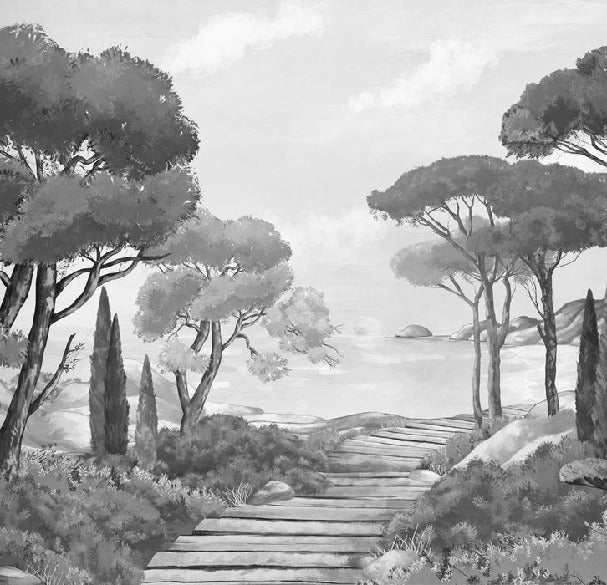 Papier peint balade dans les calanques noir et blanc, XXL, tendance