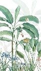 Panorama-Tapete tropicalis