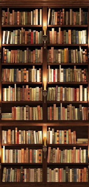 Papier peint trompe l'oeil Authentique Bibliothèque, XXL, tendance