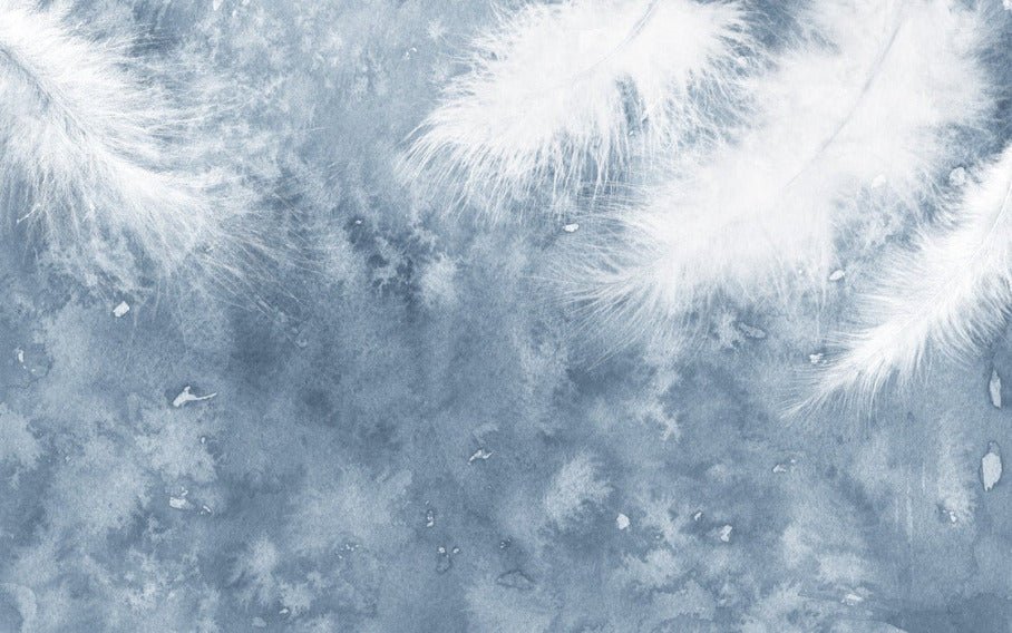 Papier peint Plume Blanche, XXL, tendance