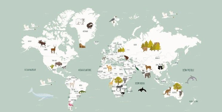 Papier peint Carte du monde en Francais enfant vert