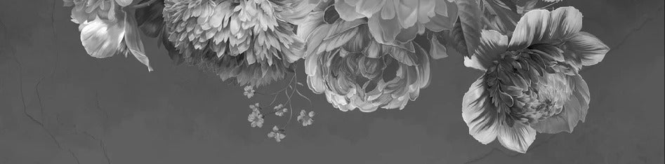 Tapete Pfingstrosenblüte schwarz und weiß