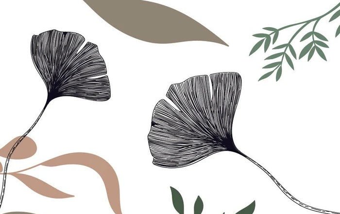 Tapete Ginkgo Blumenkünstler