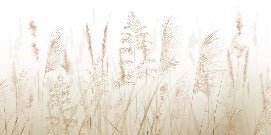 Tapete Blume der Weizenfelder