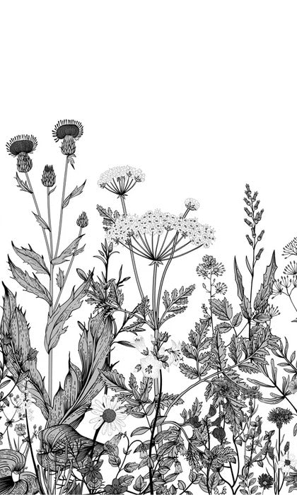Botanische Tapete Folk schwarz und weiß