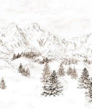 Tapete Bergmassiv der Alpen