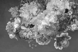 Tapete Pfingstrosenblüte schwarz und weiß