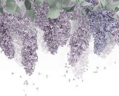 Tapete Glycine Provence