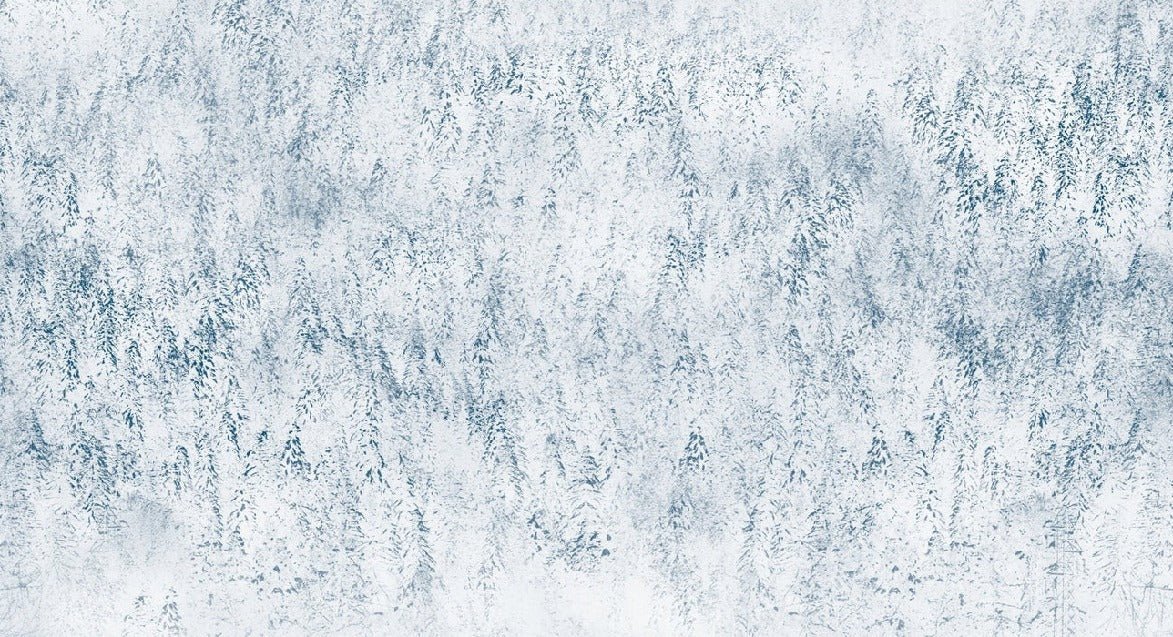 Papier peint forêt brumeuse Alpine design, XXL, tendance