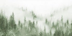 Papier peint bistrot sapin brume verte aquarelle, XXL, tendance