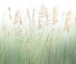Tapete Blume von grünen Weizenfeldern