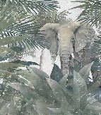 Tapete Amazonas-Elefant