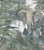 Tapete Amazonas-Elefant