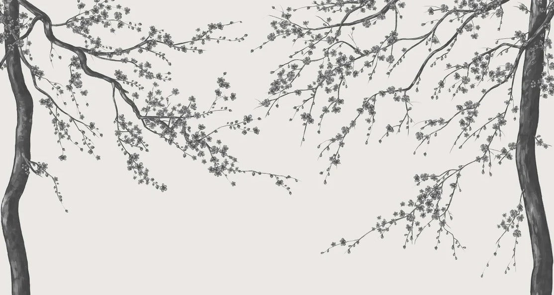 Panorama-Tapete Sakura-Blume schwarz und weiß