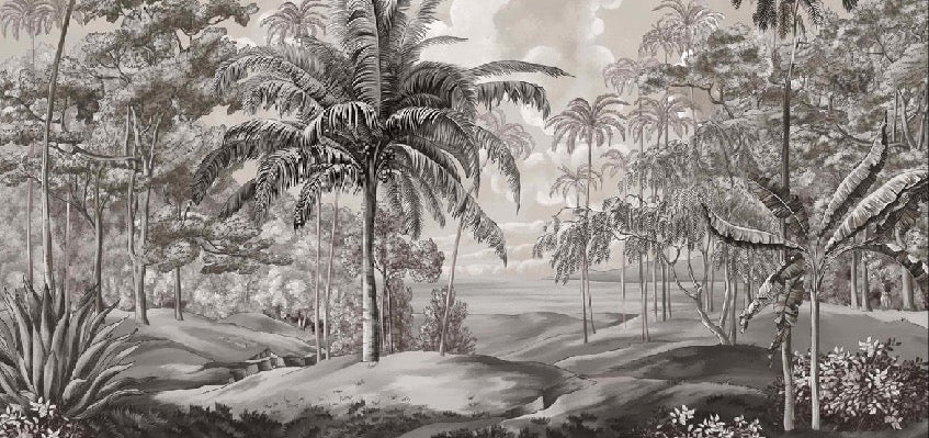 Papier peint paysage Célèbes noir et blanc, XXL, tendance