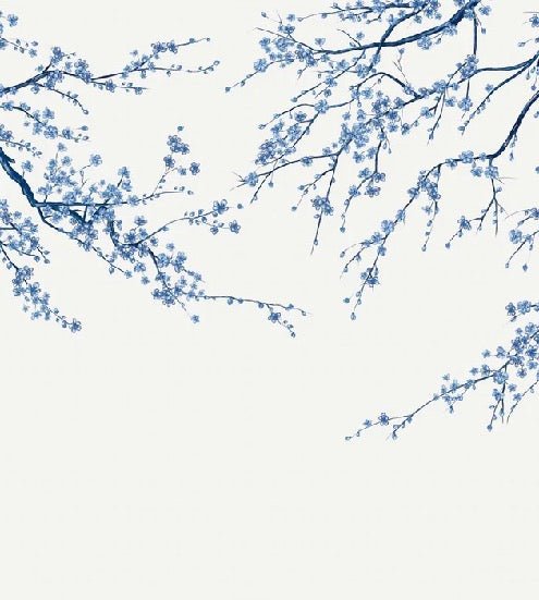 Panorama-Tapete Sakura-Blume weiß