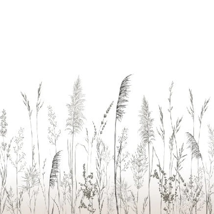 Poetische Tapete Pampa
