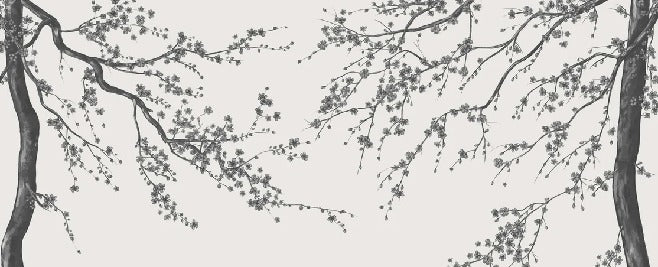 Panorama-Tapete Sakura-Blume schwarz und weiß