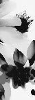 Tapete Hypnotische Blume schwarz und weiß