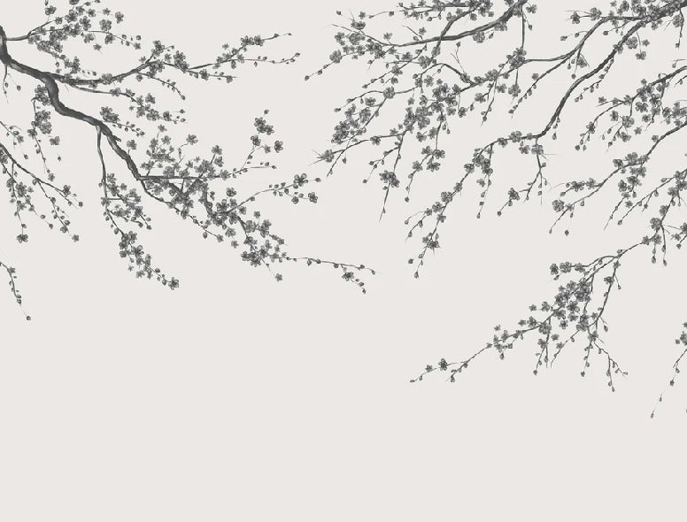 Panorama-Tapete Sakura-Blume schwarz und weiß