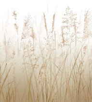 Tapete Blume der Weizenfelder