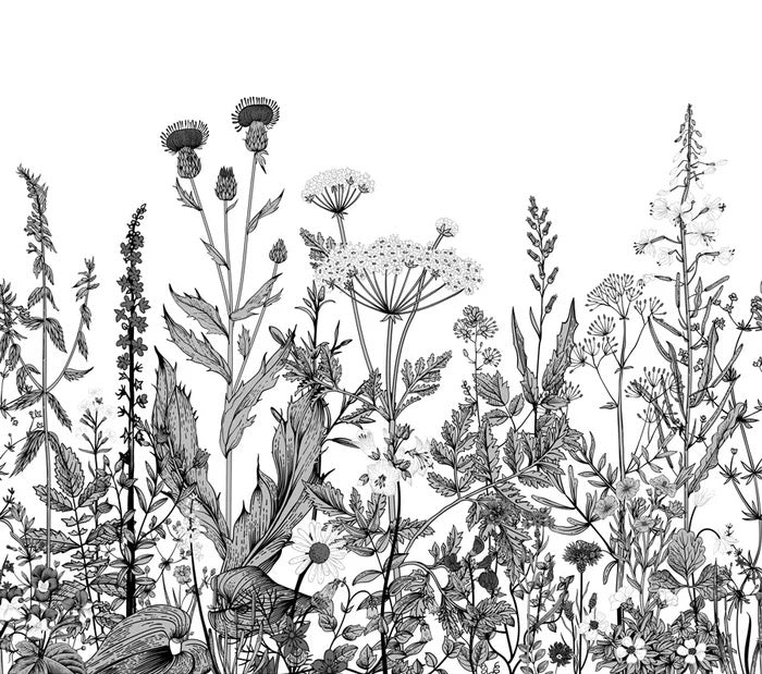 Botanische Tapete Folk schwarz und weiß
