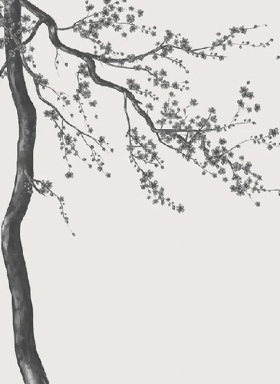 Panorama-Tapete Sakura-Blume schwarz und weiß
