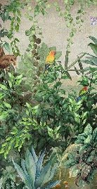 Tapete Jungle Parrot