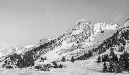 Panorama-Tapete Chalet Alm