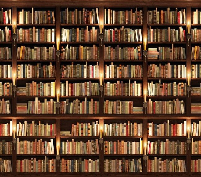 Papier peint trompe l'oeil Authentique Bibliothèque, XXL, tendance