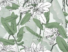 Papier peint feuillage nature vert fleur NB, XXL, tendance
