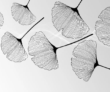 Panorama-Tapete Trend ginkgo schwarz