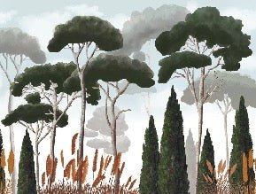 Papier peint sur mesure cyprès pins et herbes de la pampa, XXL, tendance