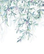 Papier peint salle de bain Végétal & Scandinave style, XXL, tendance