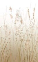 Papier peint fleur des champs de blé, XXL, tendance