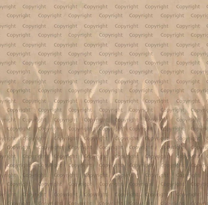 Panorama-Tapete Wildkräuter Beige