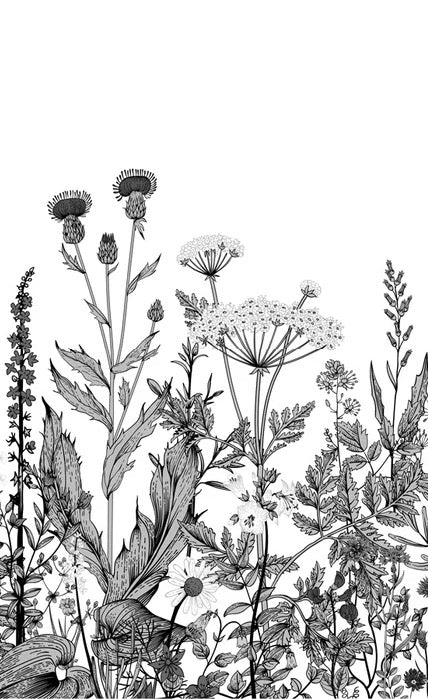 Botanische Tapete Folk schwarz und weiß